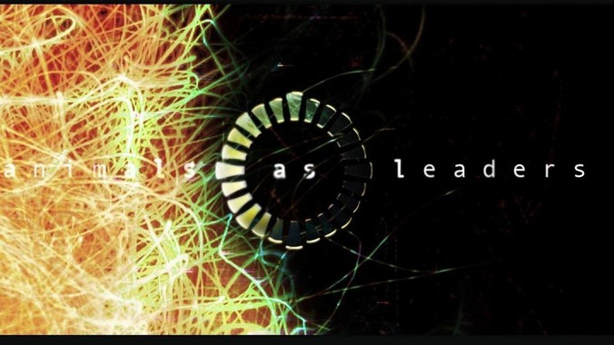 如何评价林志玲?